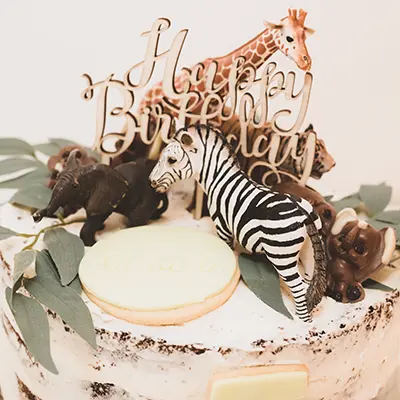 Toll garnierte Torte aufgenommen vom Fotograf Kindergeburtstag München