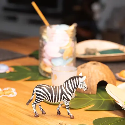 Zebra im Fotoshooting Kindergeburtstag