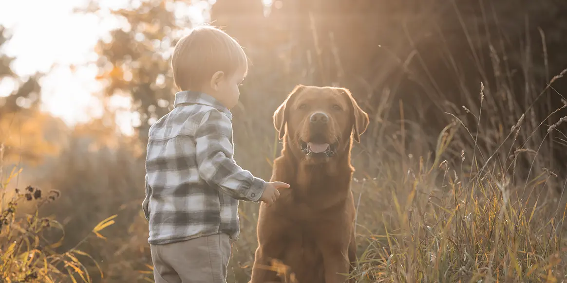 Junge mit seinem Hund im Fotoshooting mit Familie